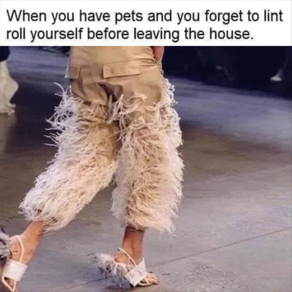 when you have pets