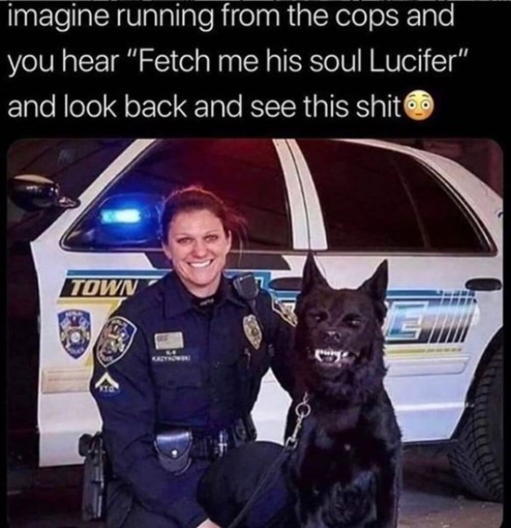 fetch