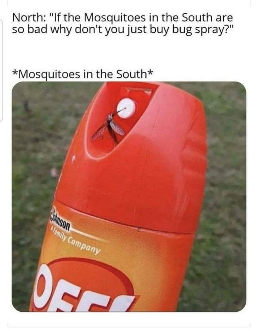 mosquitos in the south