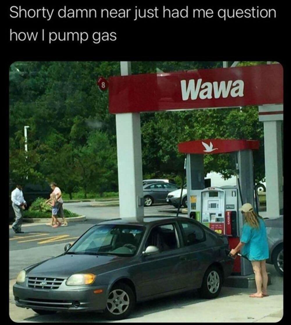 questioning everything