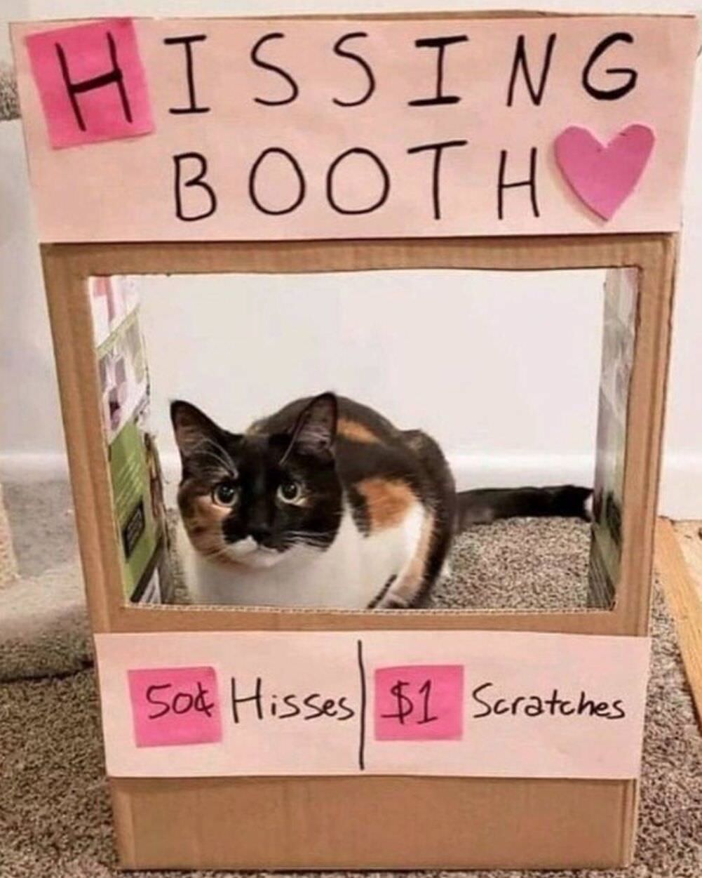 the hissing booth