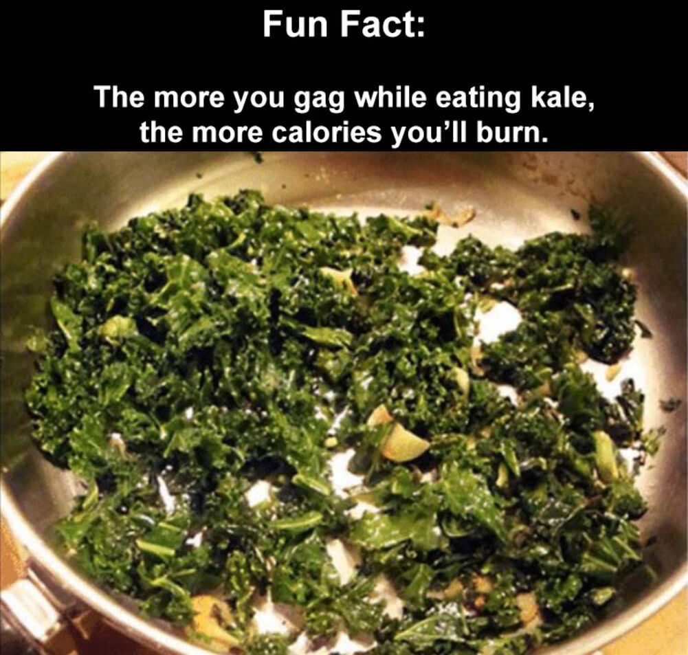 fun fact