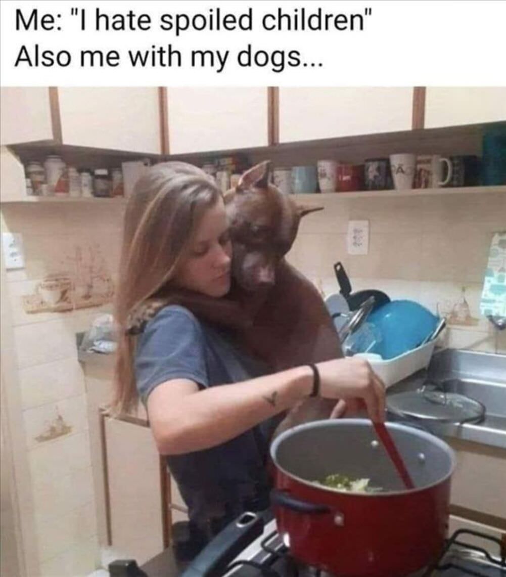 i hate spoiled children