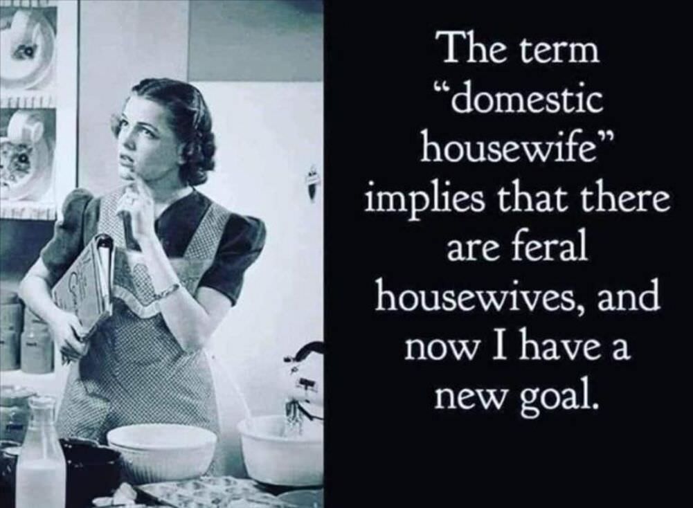 domestic