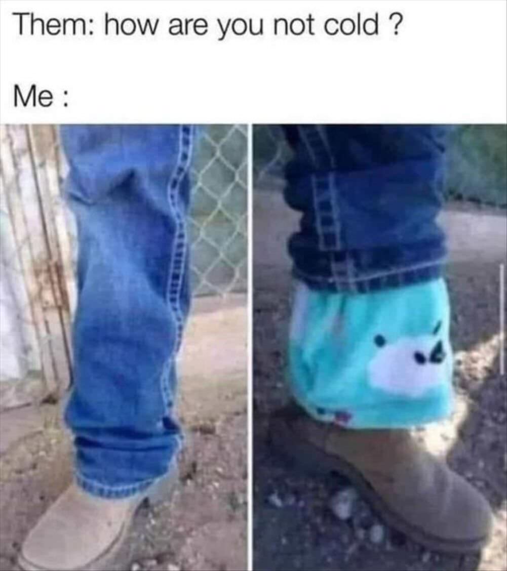 how are you not cold