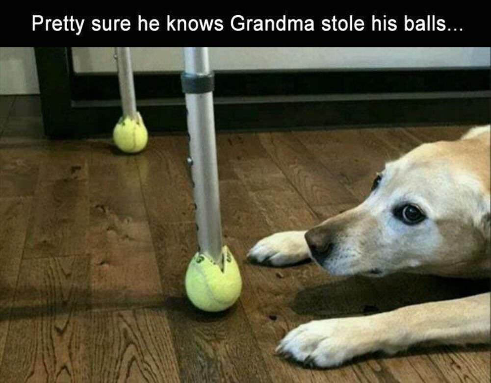 pretty sure he knows