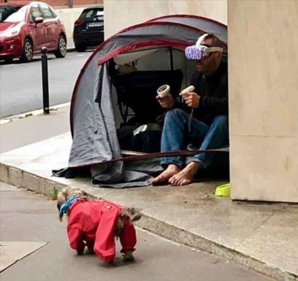 we live in a weird world