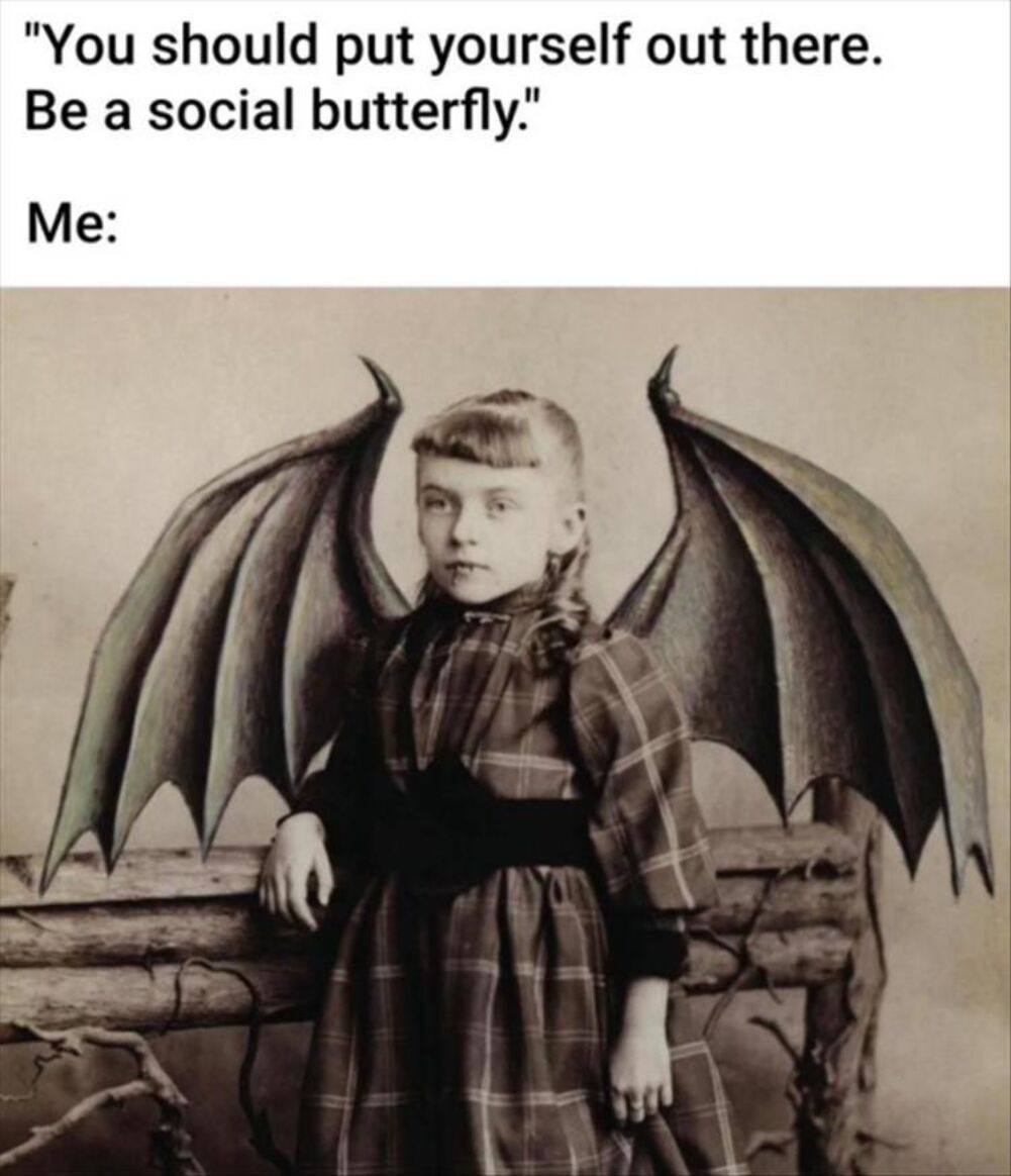a social butterfly