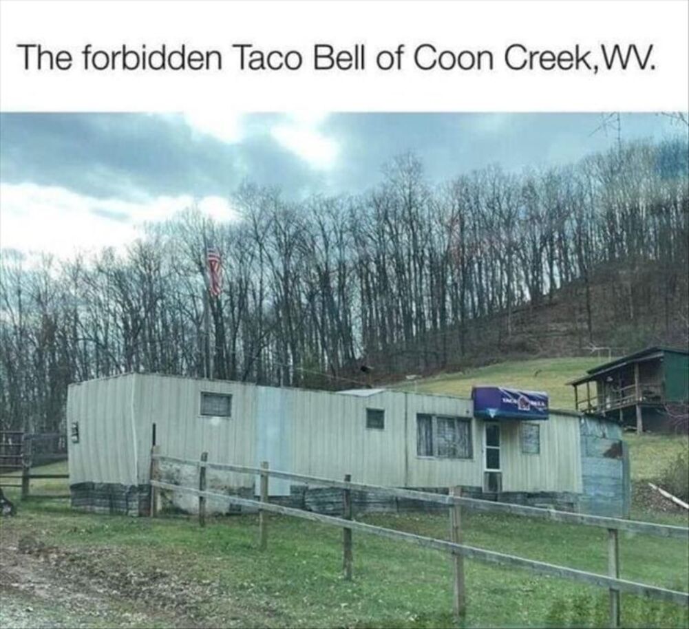 forbidden taco bell