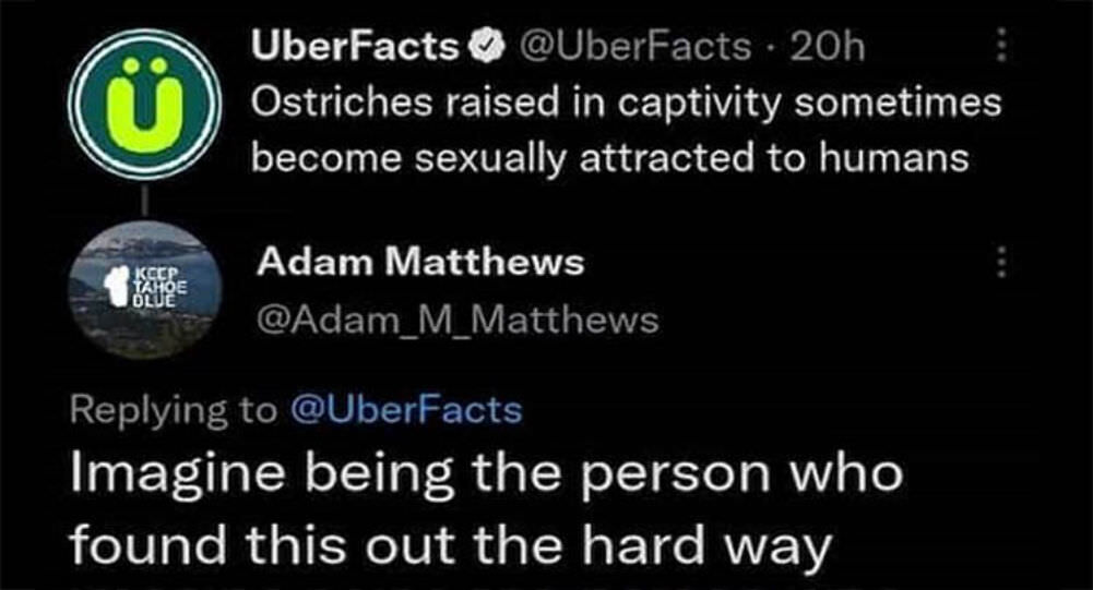 an uber fact