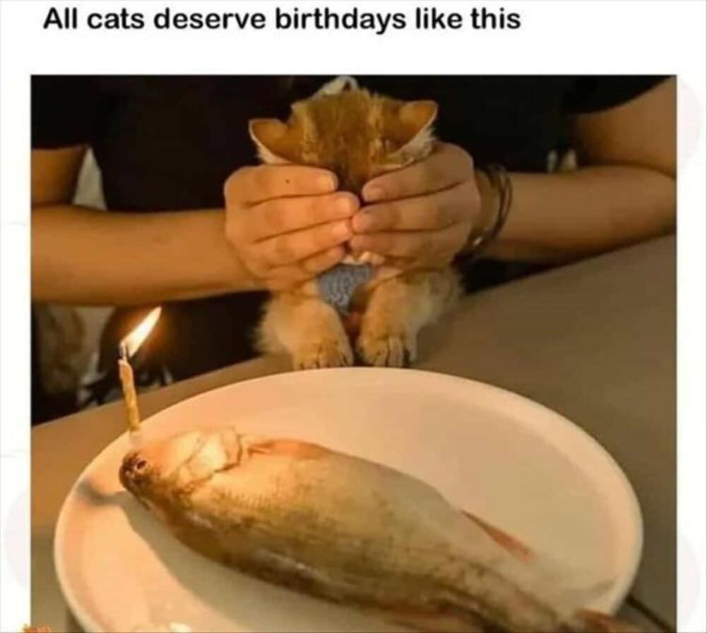 every dat deserves this