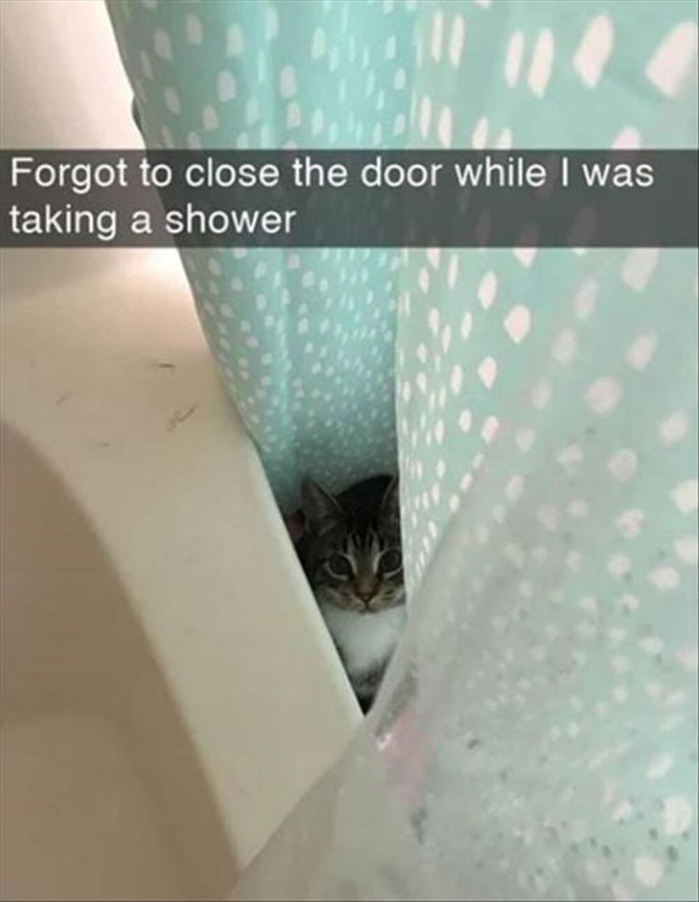 forgot to close the door