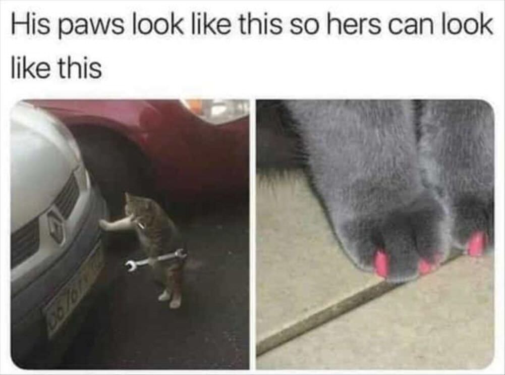 his paws look like this