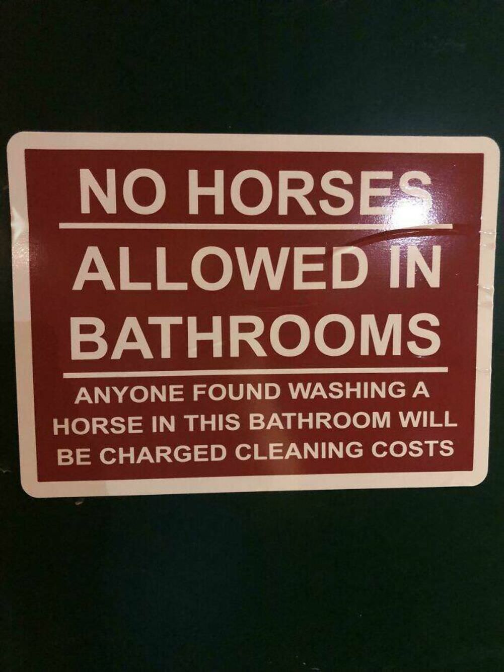no horses in the bathroom