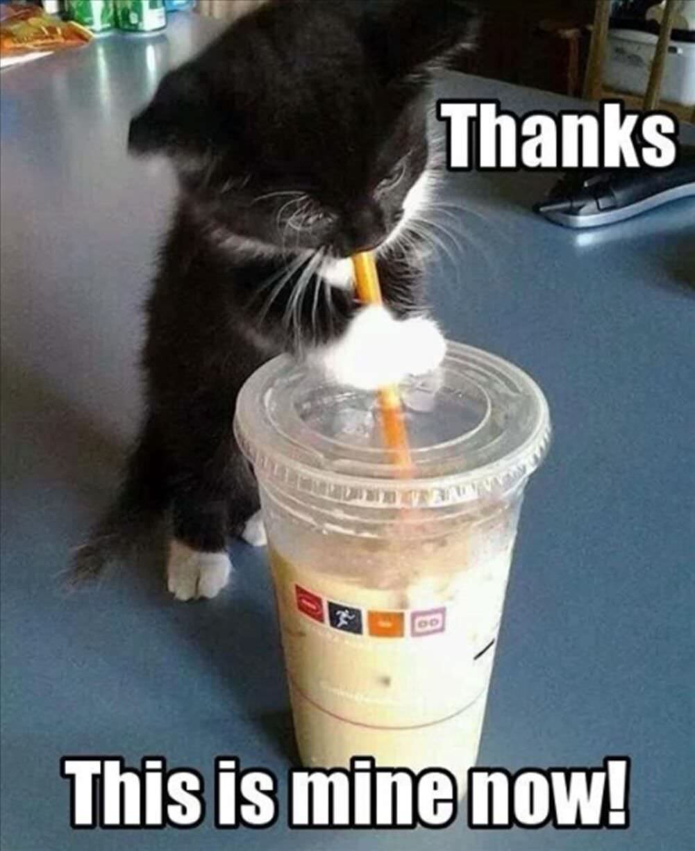 thanks this is mine now