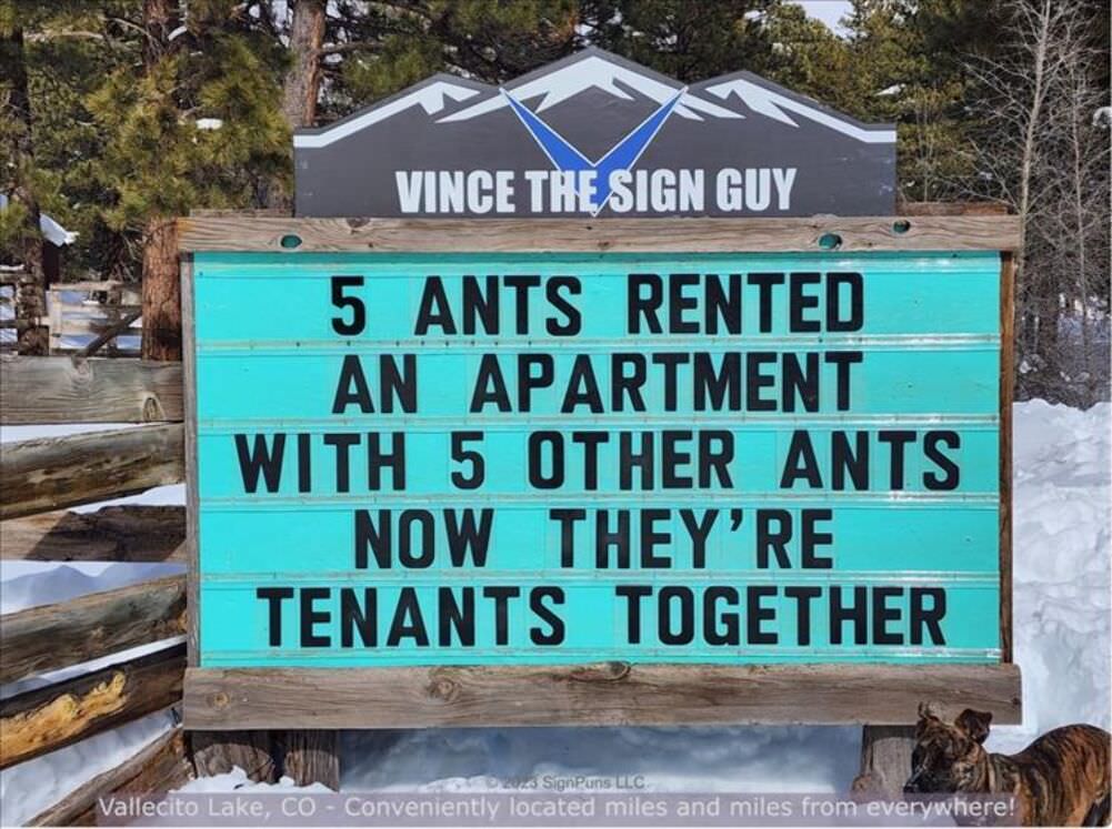 5 ants