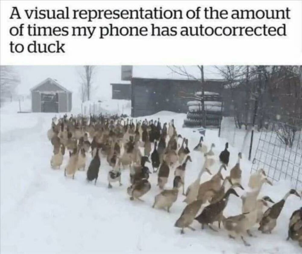 a visual representation