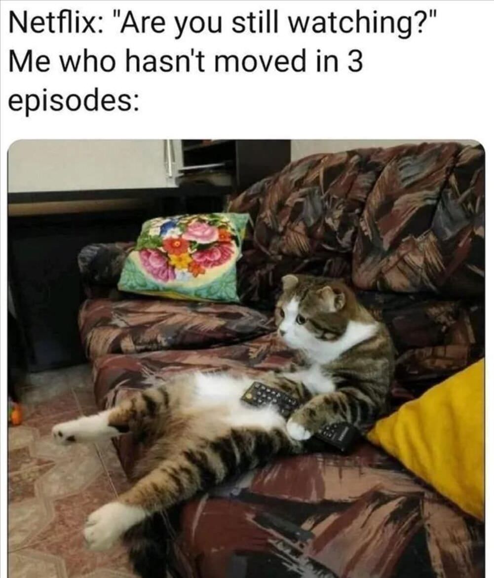 are you still watching