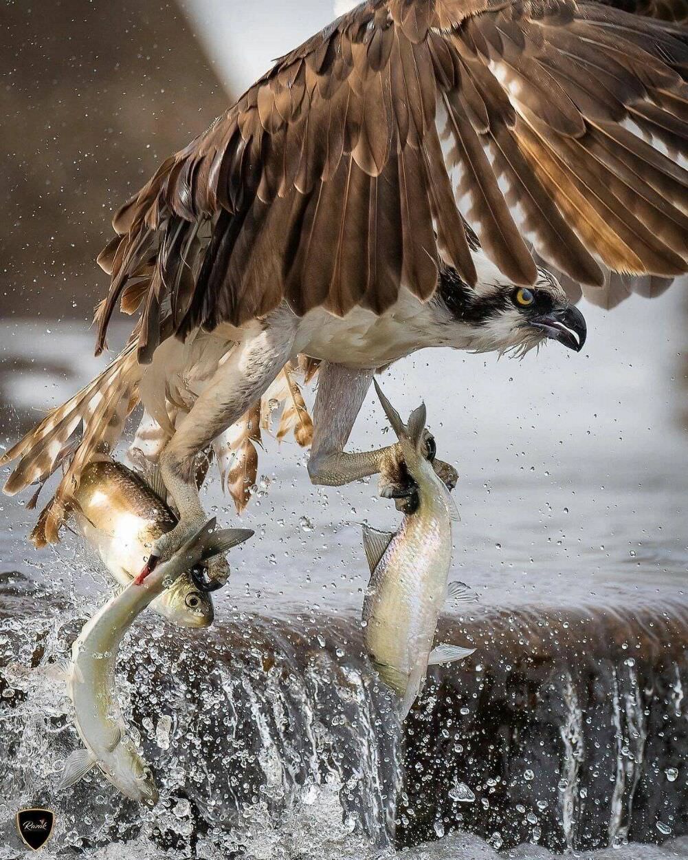 got me a couple good ones