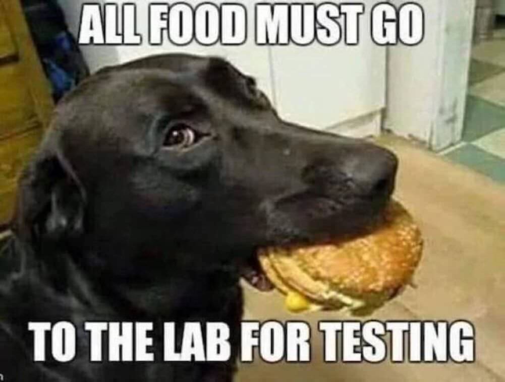lab testing