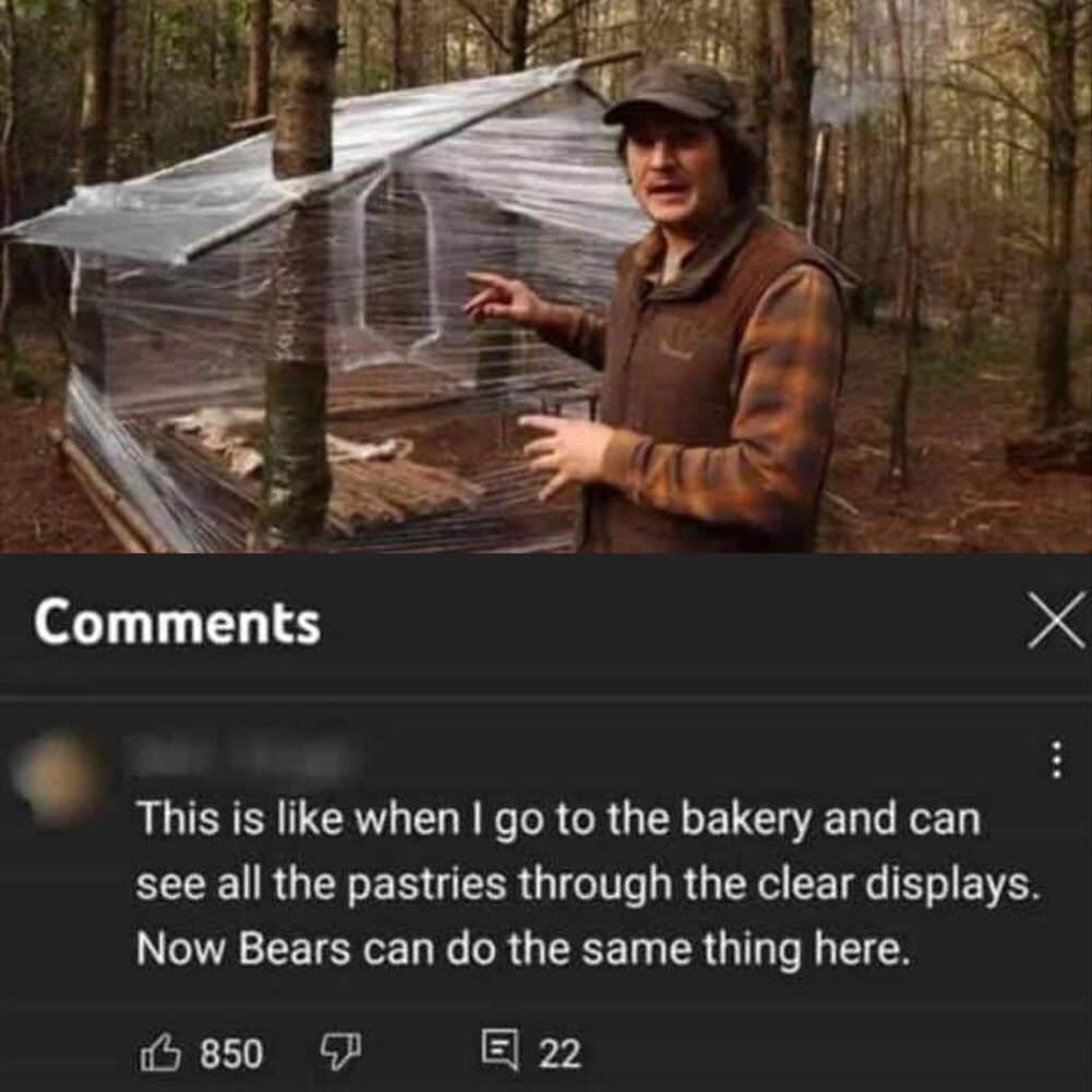 bears can do the same thing