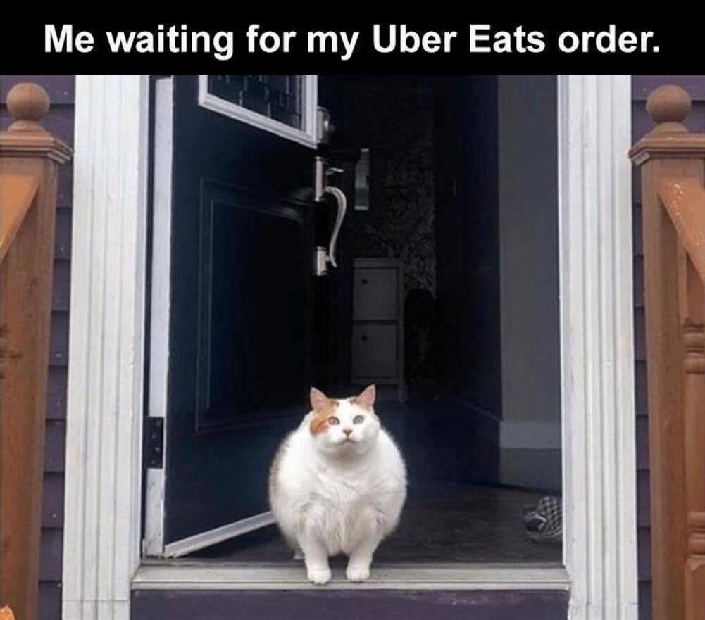 waiting on my order