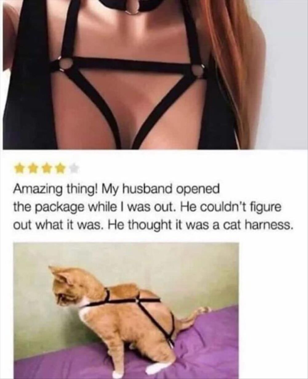 nice harness