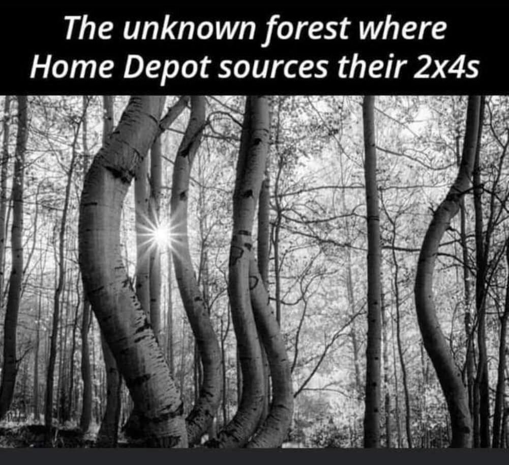 the forest of home depot