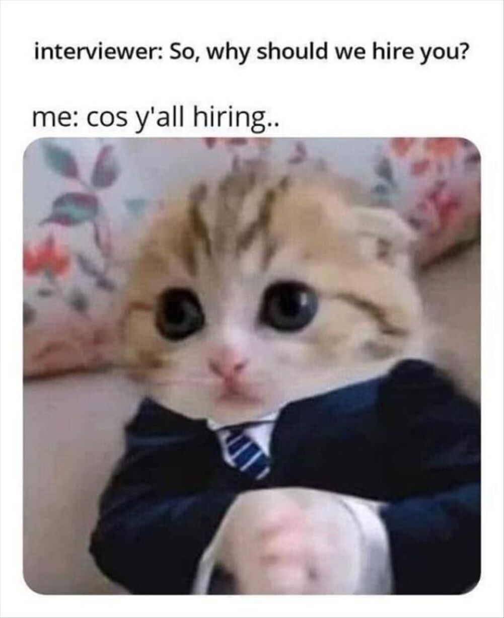 why should i hire you