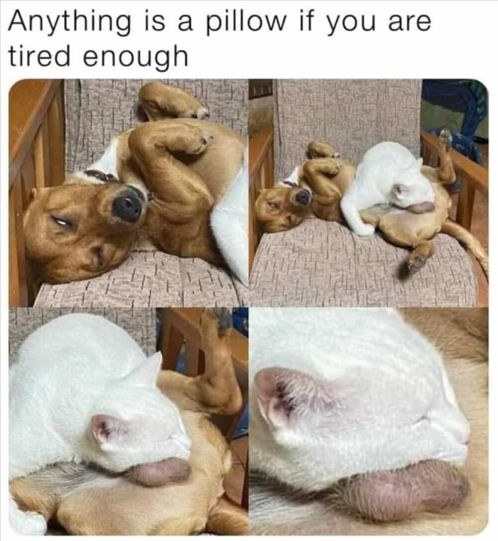 anythign is a pillow