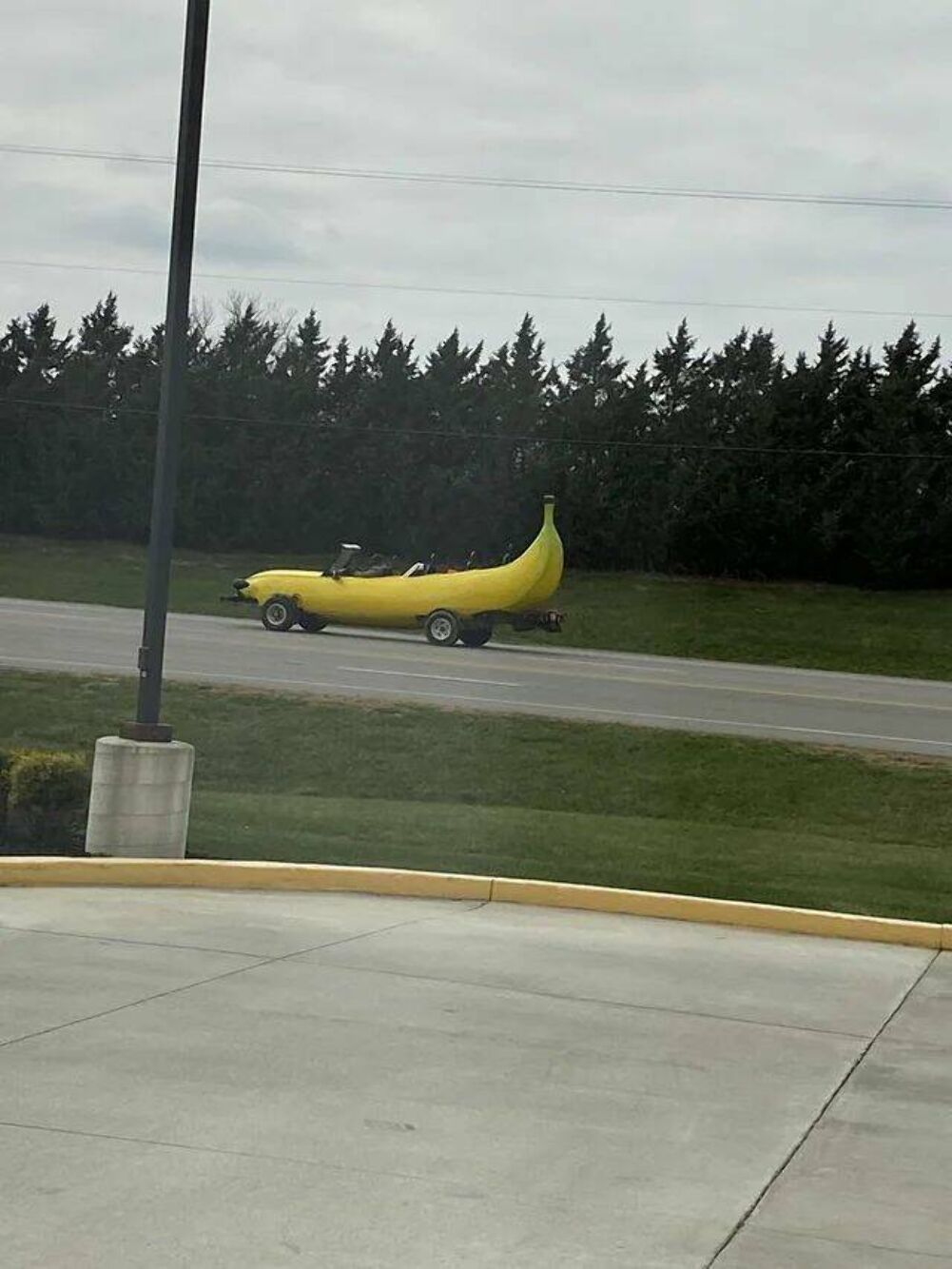 banana for scale