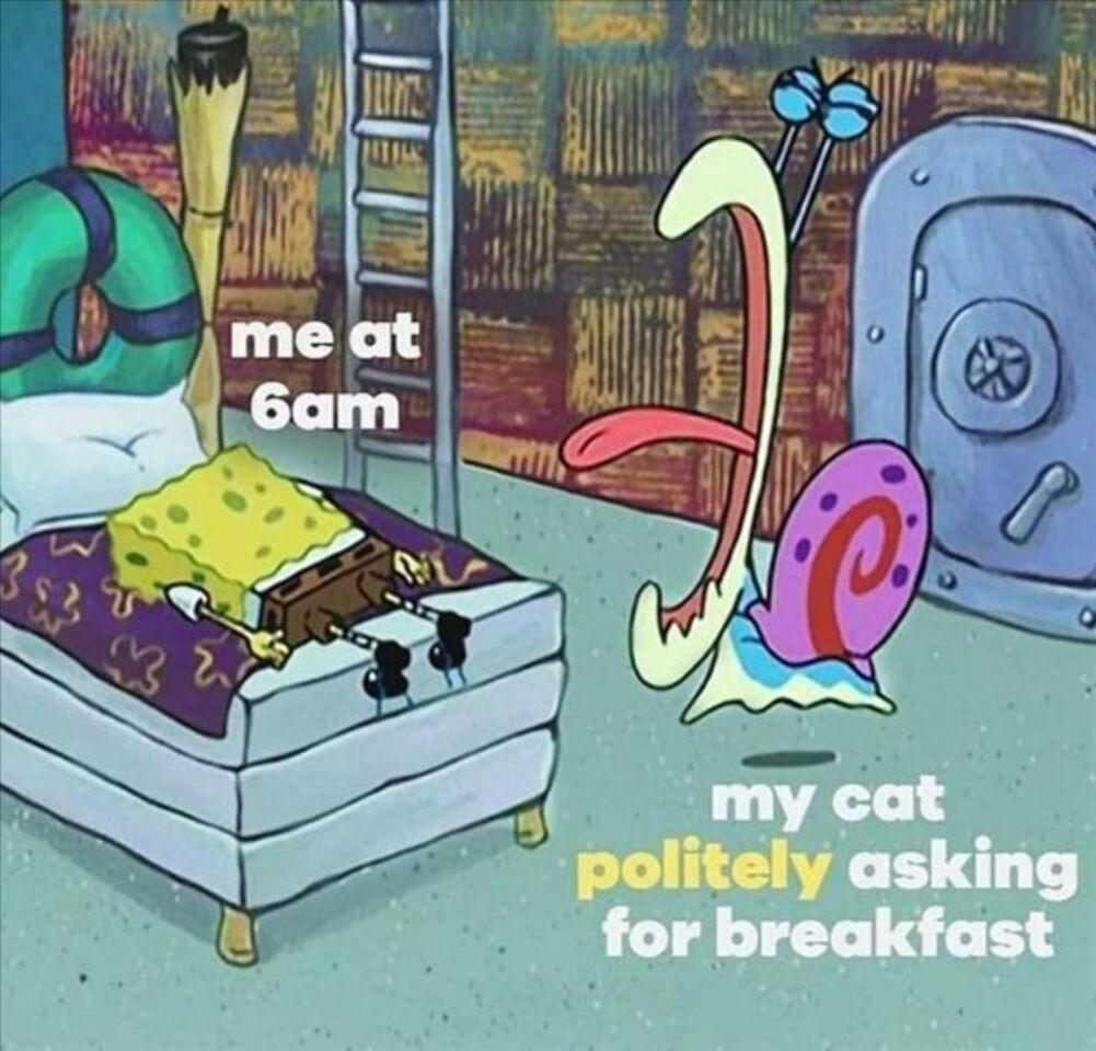 me at 6am
