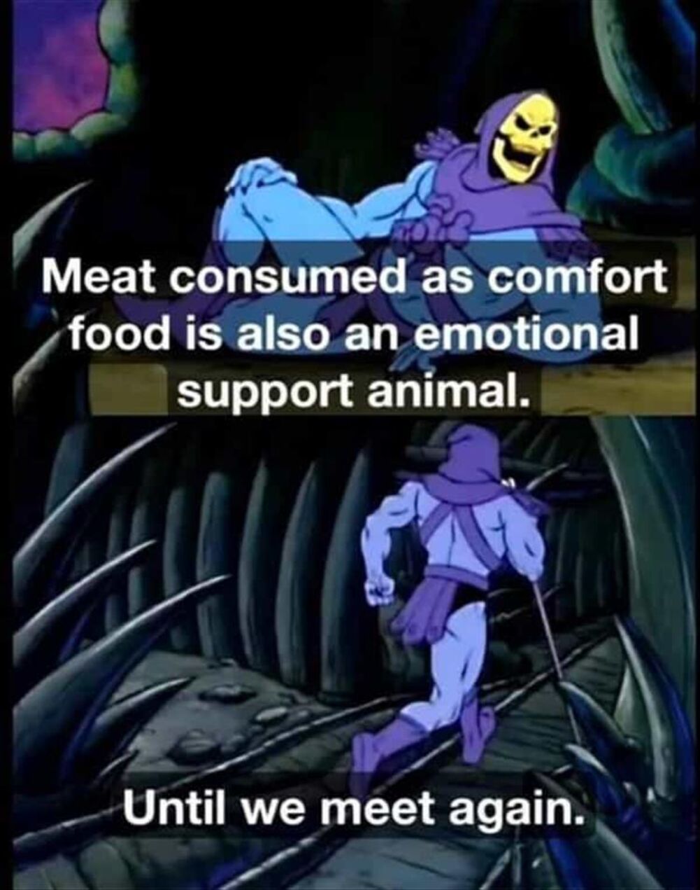 support animal