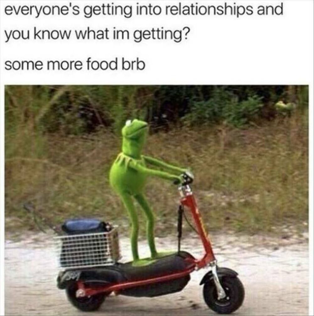 what i am getting into