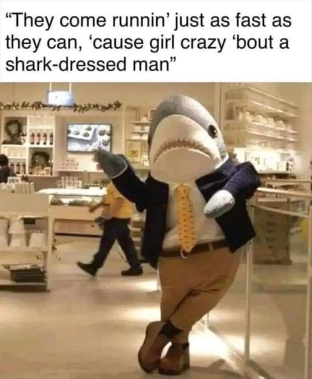 shark dressed man