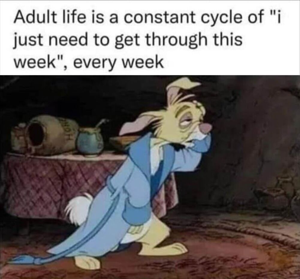 adult life