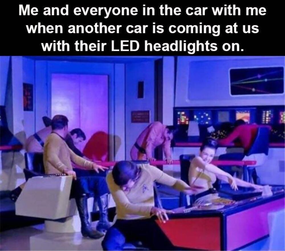 everyone in the car