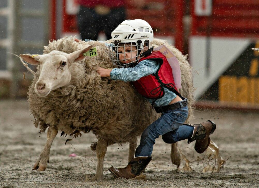 getting them riding young