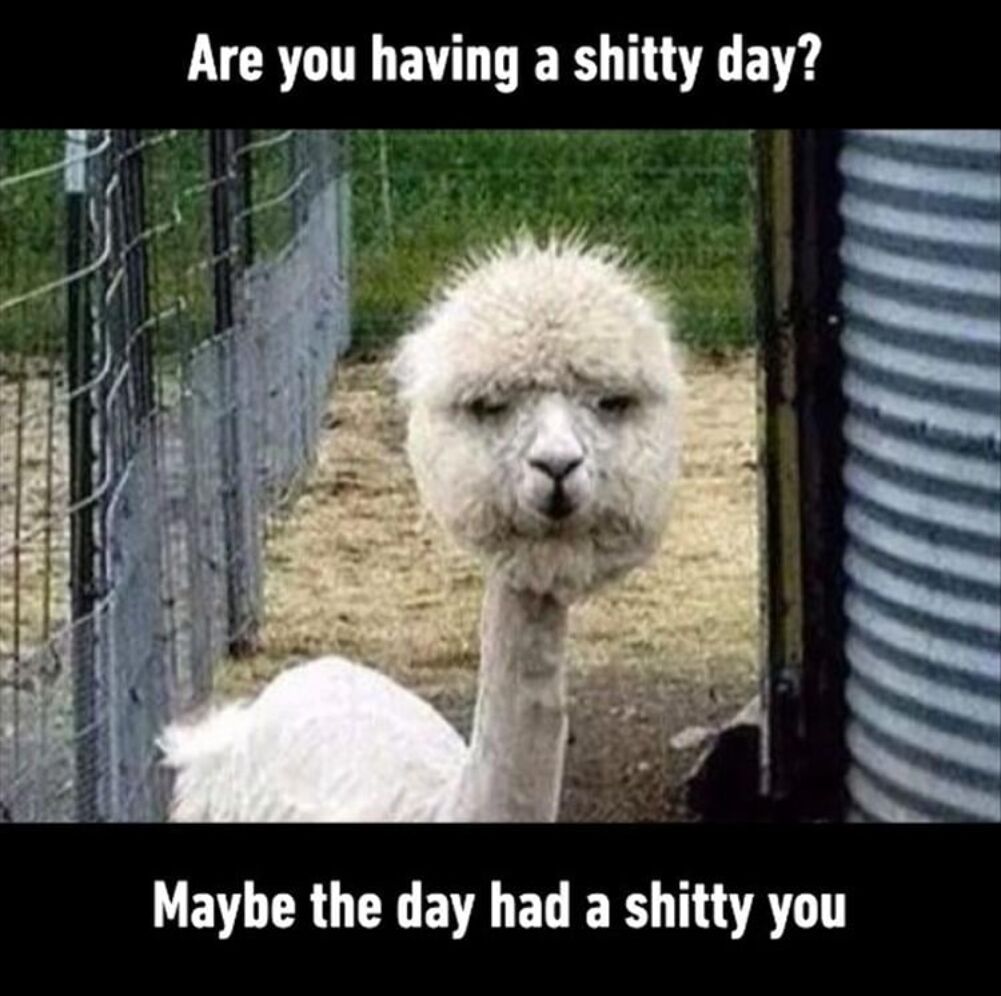 youre-wanting-the-days