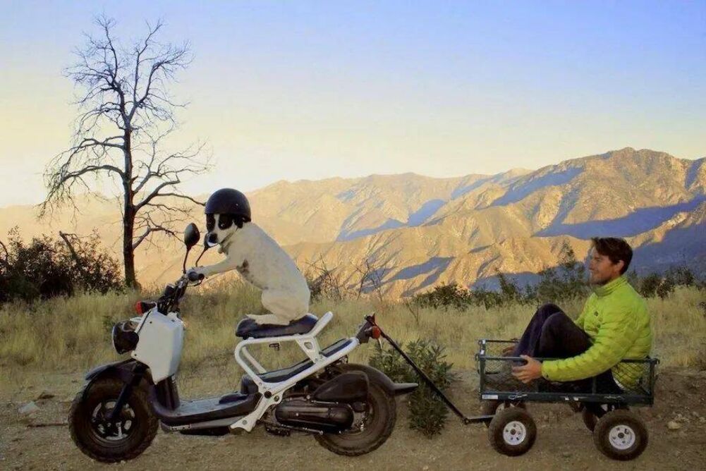 going on an adenture