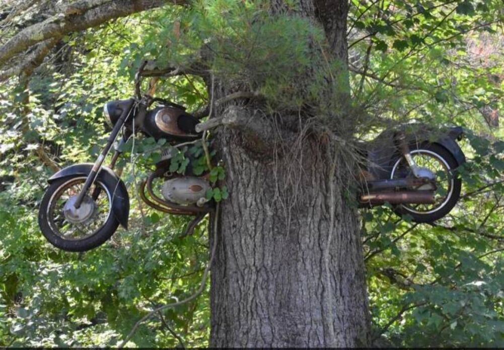 going to be a wild ride