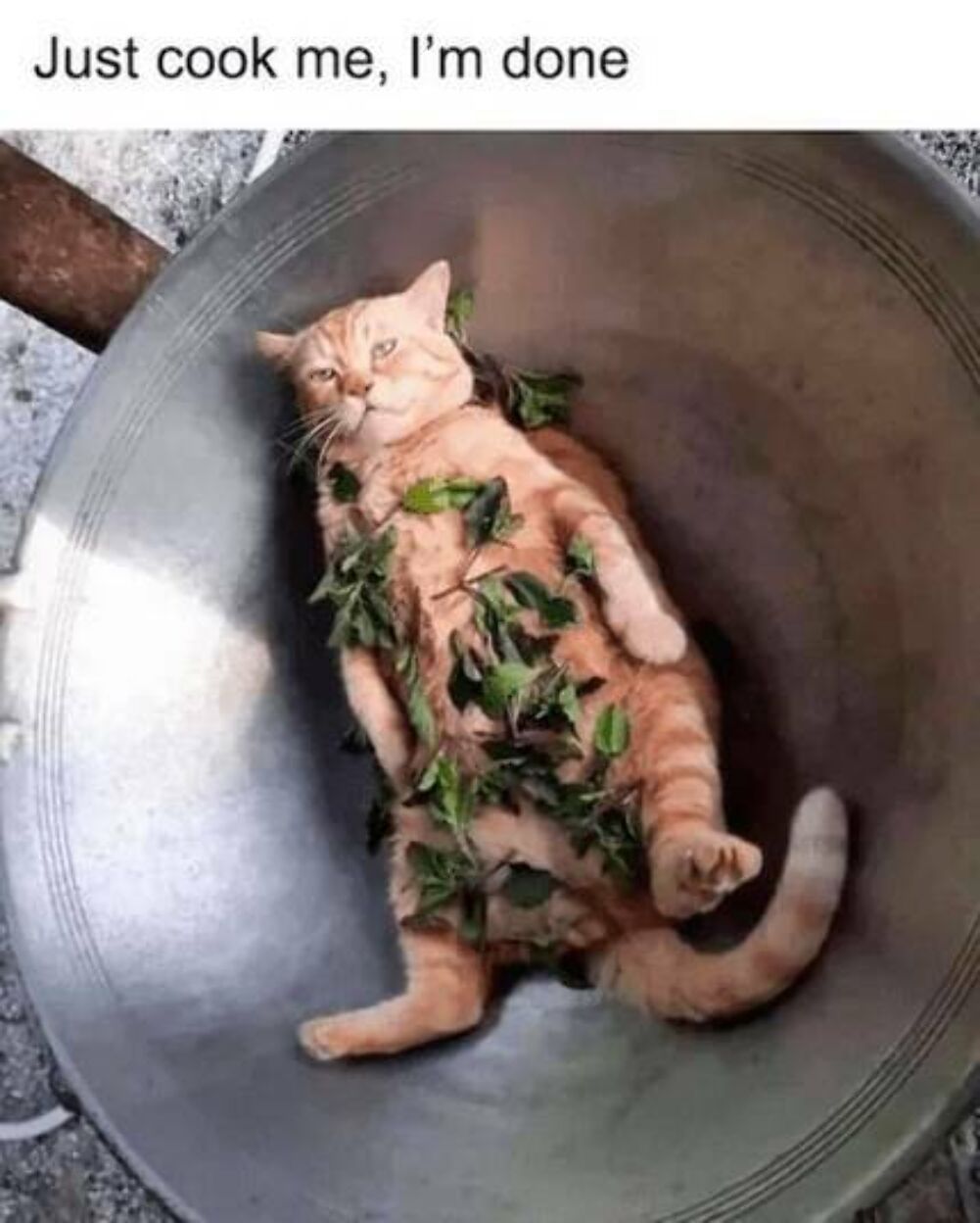 just cook me