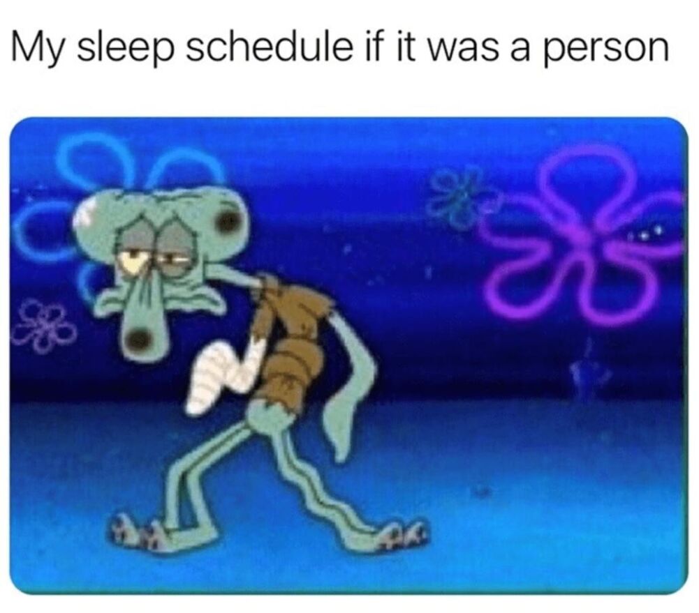 my sleep schedule
