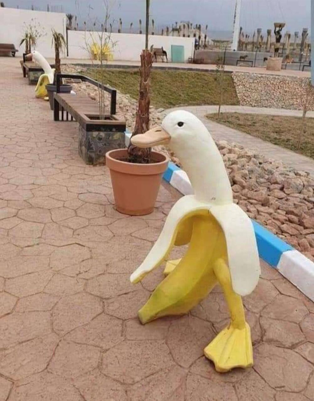 the banana man