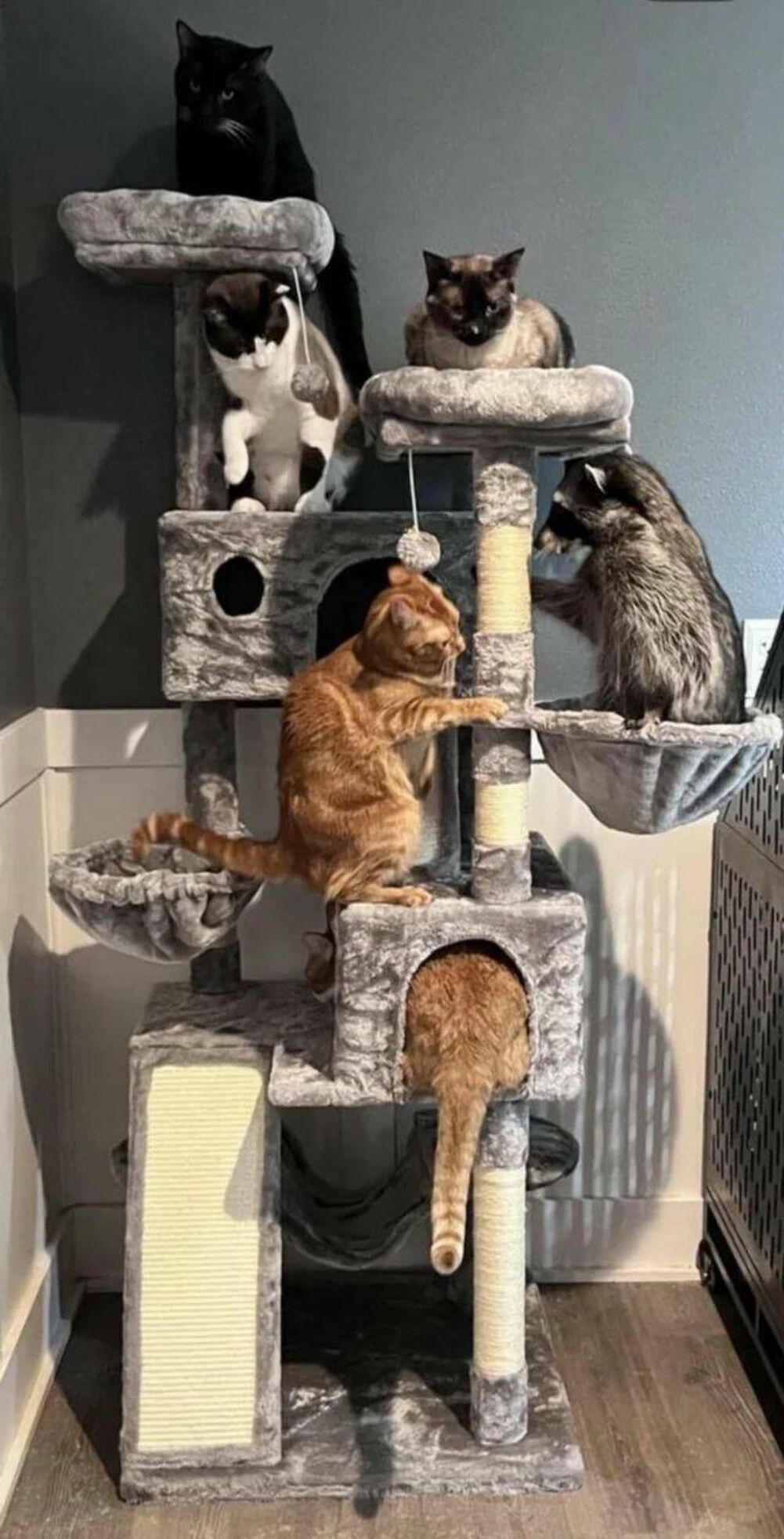 the tower of scratches