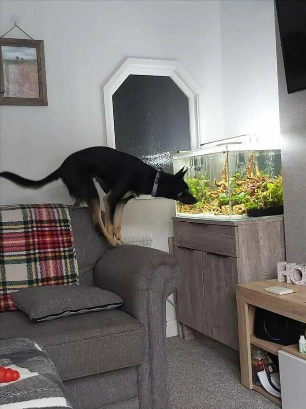 yo what you got here