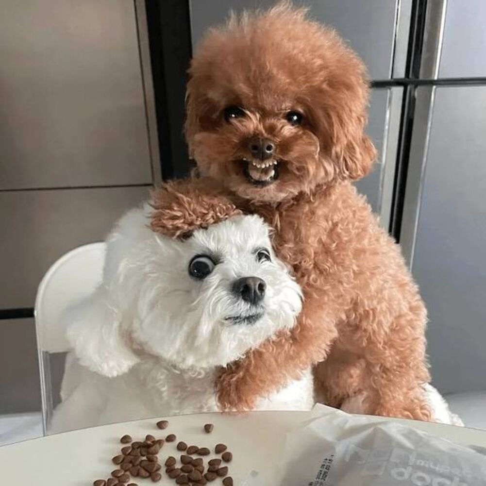 and can you smile now