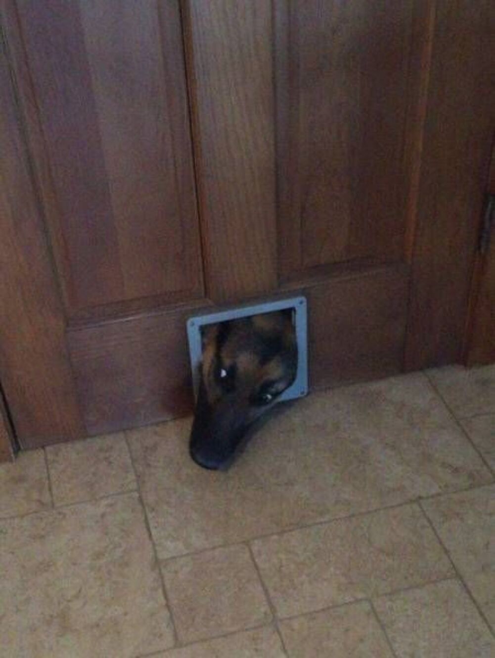 let me innnnnnnnnnnnnnn