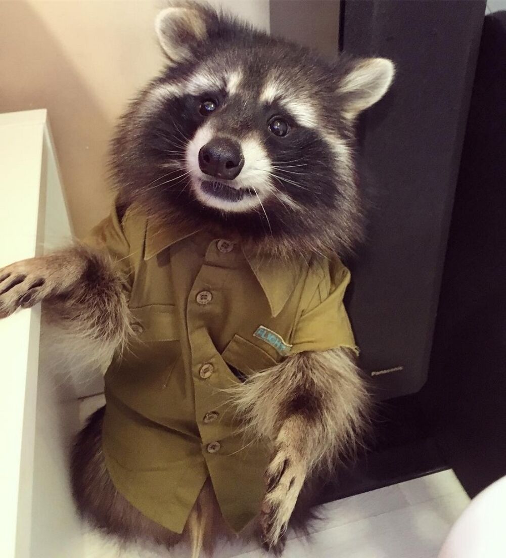 what you mean by that