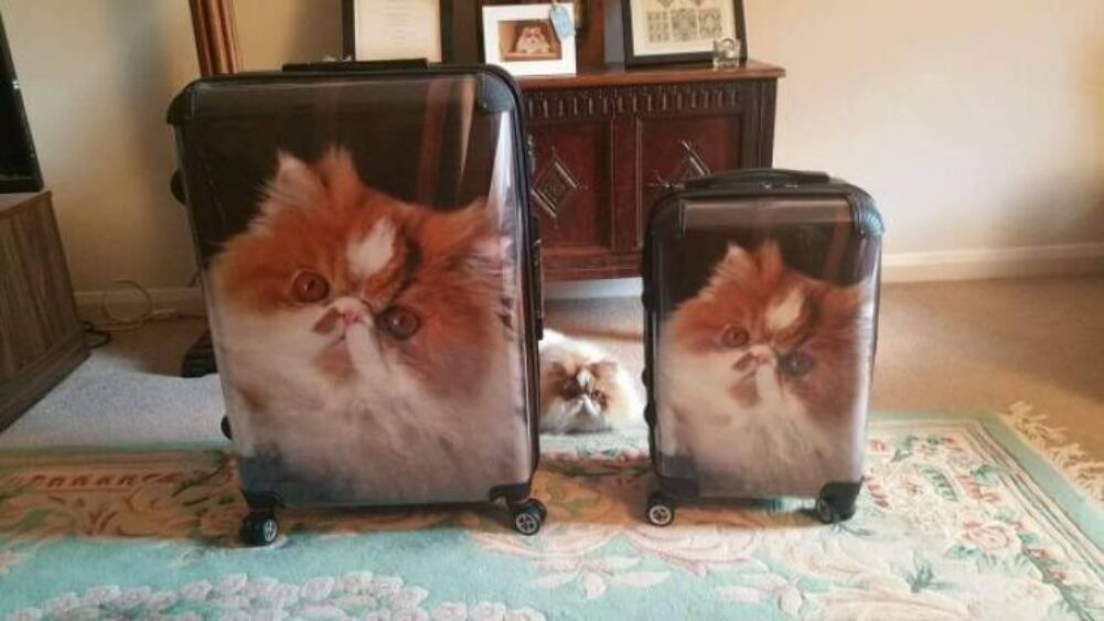 will never lose these